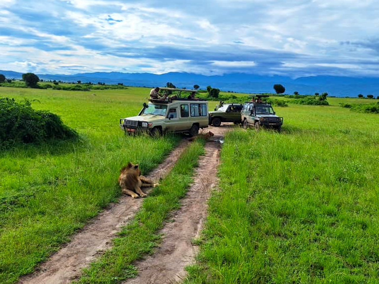 9-days-uganda-wildlife-safari